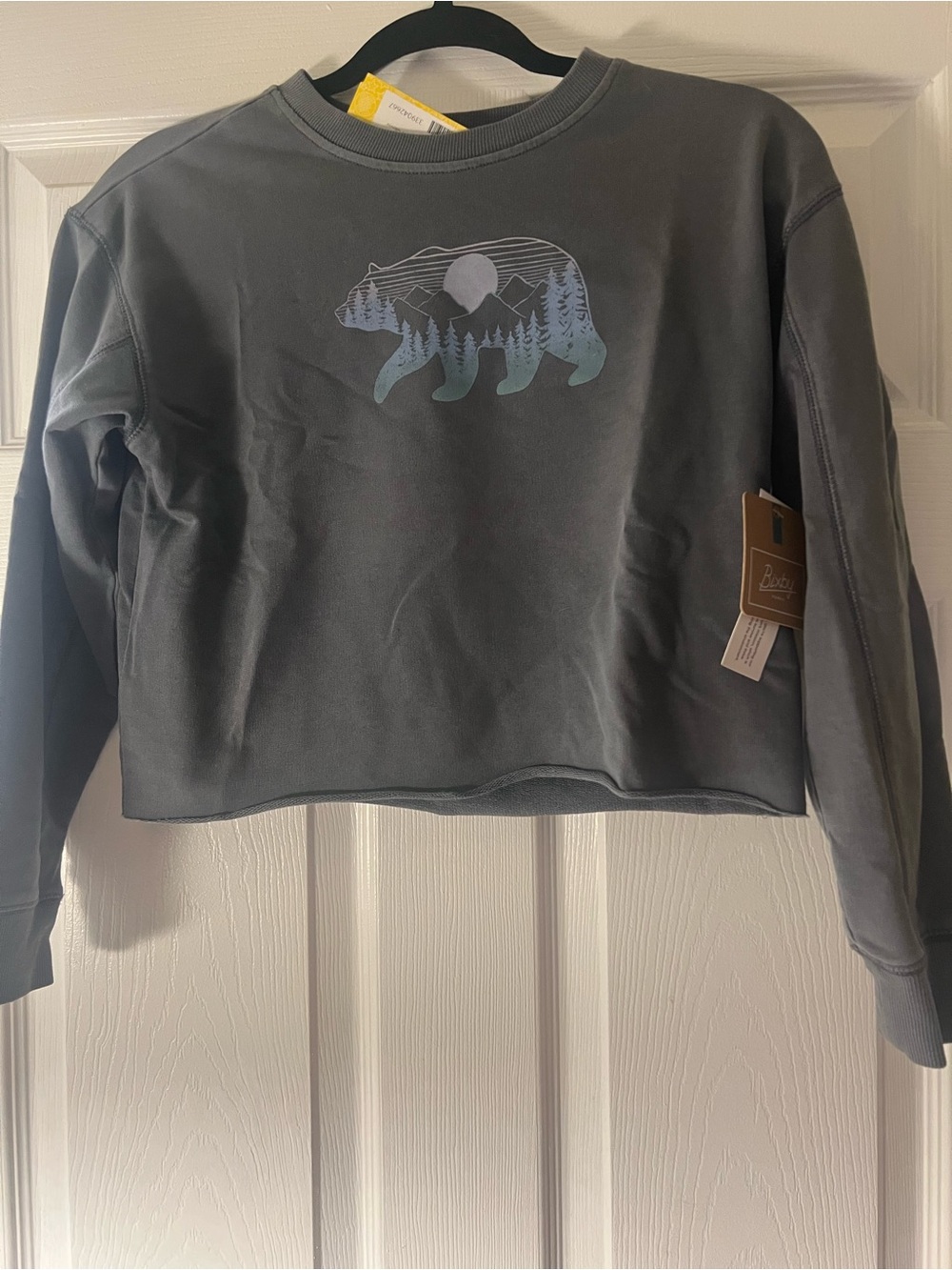 Gray Graphic Bear Crop Sweatshirt girls size L
